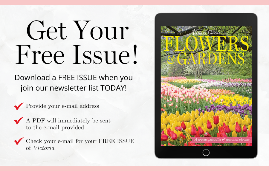Get Your FREE ISSUE!